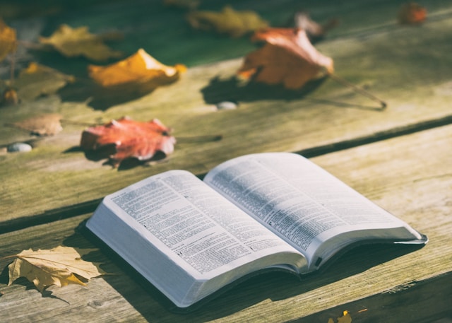 Acme source image: Arise Church Training Programmes